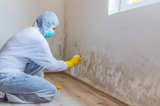 Best Post-Construction Mold Inspection  in Amerin Nyon, CA