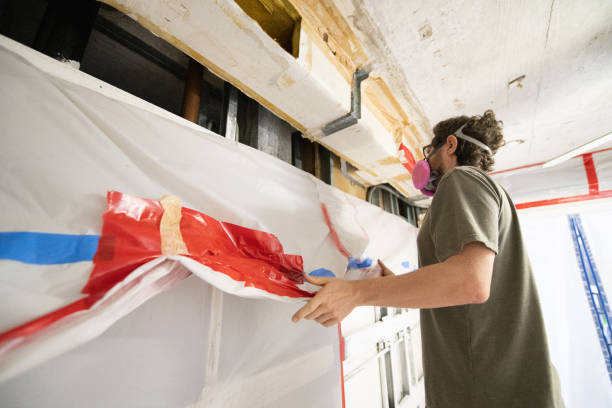 Best Basement Mold Removal  in Amerin Nyon, CA