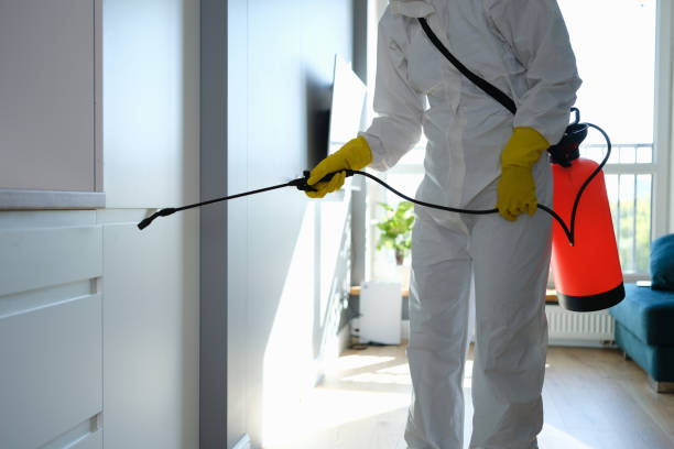Best Asbestos and Lead Testing During Mold Inspection  in Amerin Nyon, CA