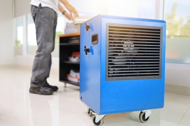 Best Mold Damage Restoration  in Amerin Nyon, CA