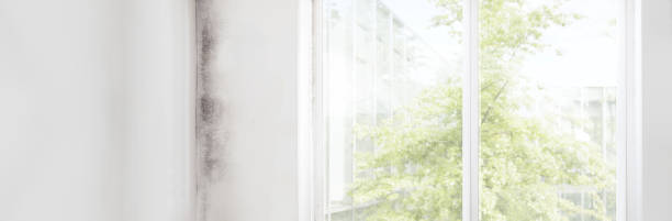 Best HVAC Mold Inspection and Cleaning  in Amerin Nyon, CA