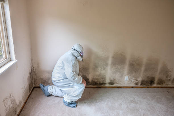 Best Mold Prevention Services  in Amerin Nyon, CA